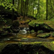 Sonidos Pacíficos Para La Meditación