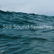 !!" Sea Sound Splashes "!!