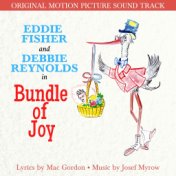 Bundle of Joy (Original Motion Picture Soundtrack)