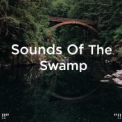 !!" Sounds Of The Swamp "!!