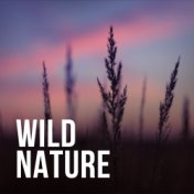 Wild Nature