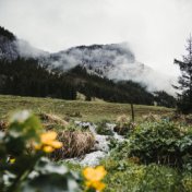 Melodías Ambientales | Dormir