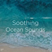 !!" Soothing Ocean Sounds "!!
