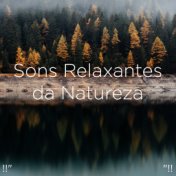 !!" Sons Relaxantes da Natureza "!!