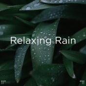 !!" Relaxing Rain "!!