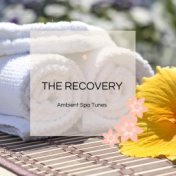 The Recovery - Ambient Spa Tunes