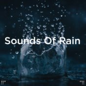 !!" Sounds Of Rain "!!