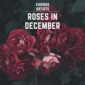 Roses in December