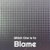 Which One Is to Blame