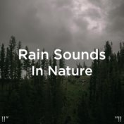 !!" Rain Sounds In Nature "!!