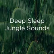 !!" Deep Sleep Jungle Sounds "!!