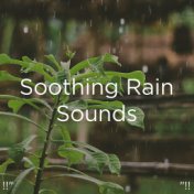 !!" Soothing Rain Sounds "!!