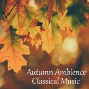 Autumn Ambience Classical Music
