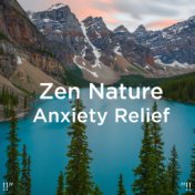 !!" Zen Nature Anxiety Relief "!!