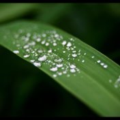 Total Chillout Collection | Soothing, Loopable Rain Recordings