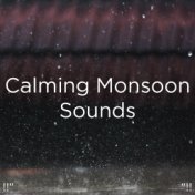 !!" Calming Monsoon Sounds "!!