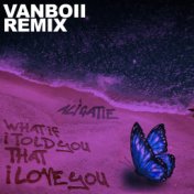 What If I Told You That I Love You (Vanboii Remix)
