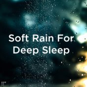 !!" Soft Rain For Deep Sleep "!!