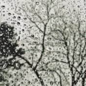 25 Natural Rain Sounds for Sleep and Focus