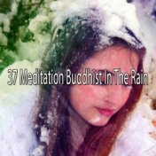 37 Meditation Buddhist in the Rain