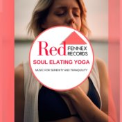 Soul Elating Yoga - Music For Serenity And Tranquility