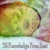 59 Knowledge from Rest