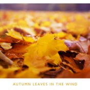 Autumn Leaves in the Wind