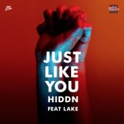 Just Like You (feat. Lake)