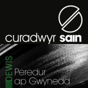 Curadwyr Sain - Dewis Peredur Ap Gwynedd