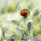 65 Love for Sleeping