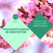 Thoughtfulness In Meditation - Music For Focus And Mindfulness