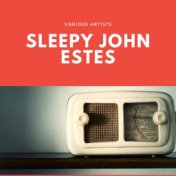 Sleepy John Estes