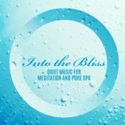 Into the Bliss (Quiet Music for Meditation and Pure Spa)