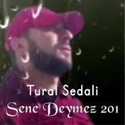 Sene Deymez 2019