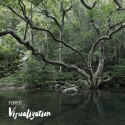 Forest Visualization - Close Your Eyes and Take Your Thoughts to the Heart of Nature with This Great New Age Music, Nature Sound...