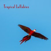 Tropical Lullabies - Best New Age Soft Nature Sounds for Evening Relax in Bed, Total Rest, Calming Down, De-stress & Sleep Peace...