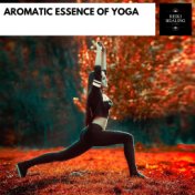 Aromatic Essence Of Yoga