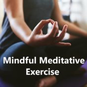 Mindful Meditative Exercise