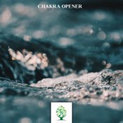 Chakra Opener