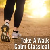 Take A Walk Calm Classical