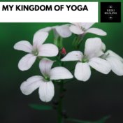 My Kingdom Of Yoga