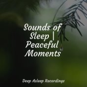 Sounds of Sleep | Peaceful Moments