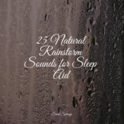 25 Natural Rainstorm Sounds for Sleep Aid