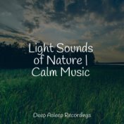 Light Sounds of Nature | Calm Music