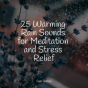 25 Warming Rain Sounds for Meditation and Stress Relief