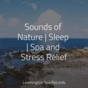 Sounds of Nature | Sleep | Spa and Stress Relief