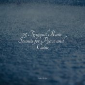 25 Tranquil Rain Sounds for Peace and Calm