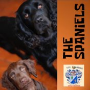 The Spaniels