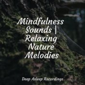 Mindfulness Sounds | Relaxing Nature Melodies