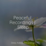 Peaceful Recordings | Sleep